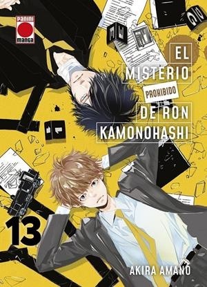 EL MISTERIO PROHIBIDO DE RON KAMONOHASHI  13