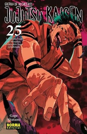 JUJUTSU KAISEN  25