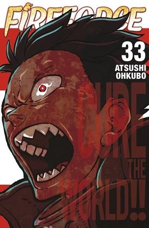 FIRE FORCE  33