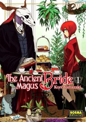 THE ANCIENT MAGUS BRIDE  01