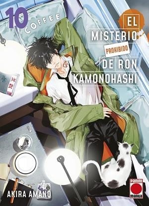 EL MISTERIO PROHIBIDO DE RON KAMONOHASHI  10