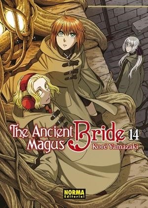 THE ANCIENT MAGUS BRIDE  14