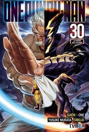 ONE PUNCH-MAN  30