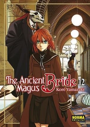 THE ANCIENT MAGUS BRIDE  12