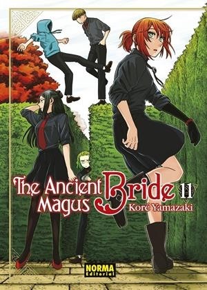 THE ANCIENT MAGUS BRIDE  11