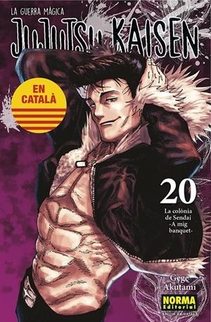 JUJUTSU KAISEN EDICIÓ EN CATALÀ  20