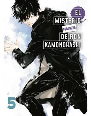 EL MISTERIO PROHIBIDO DE RON KAMONOHASHI  05