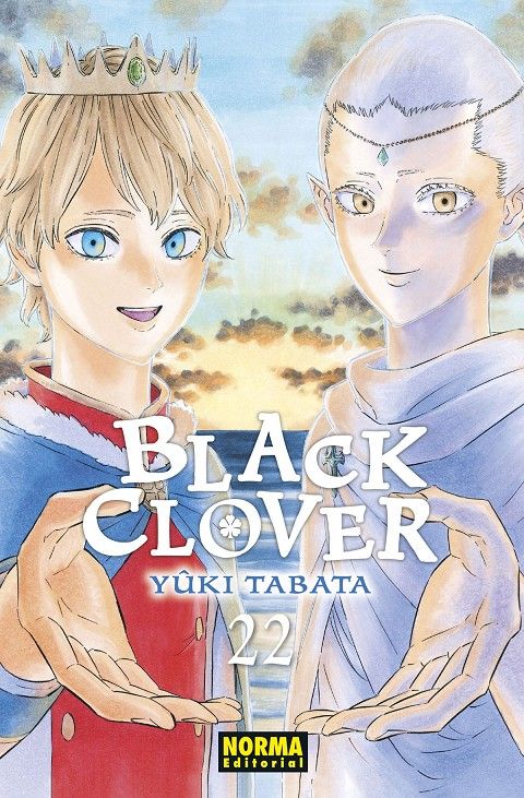 BLACK CLOVER 22